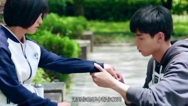 哈哈体育app官网版下载
